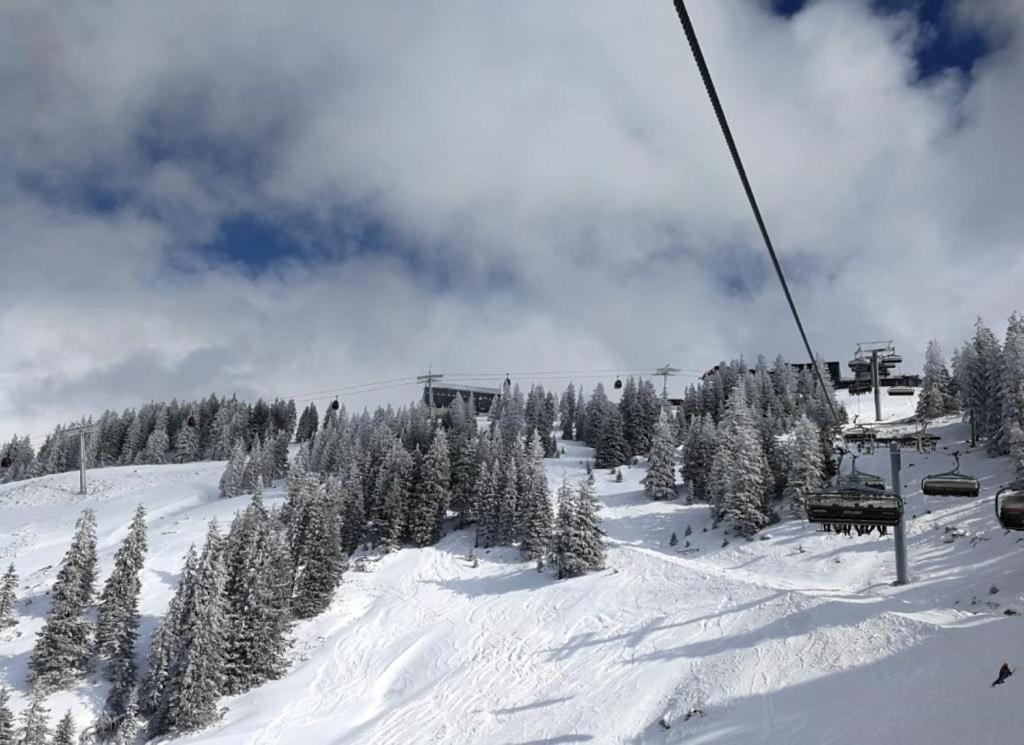 Residence Cosy Westendorf Exteriér fotografie